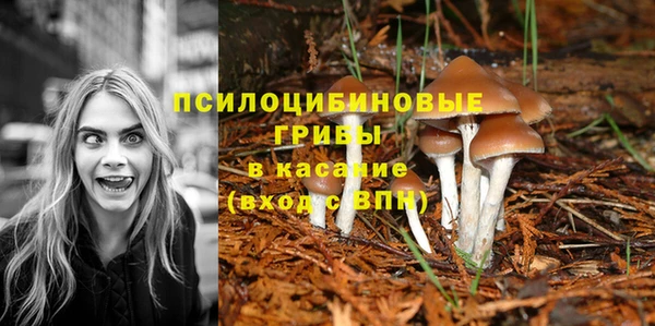 наркотики Абаза