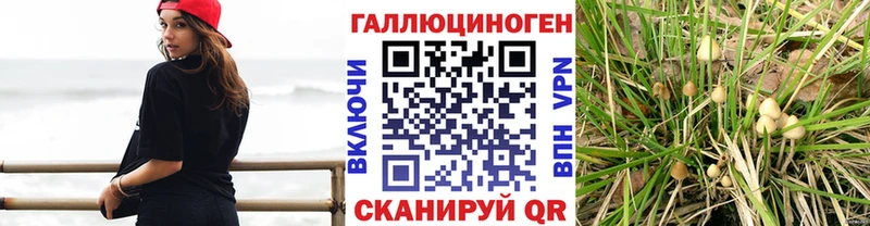 купить  сайты  Братск  OMG ONION  Галлюциногенные грибы MAGIC MUSHROOMS 